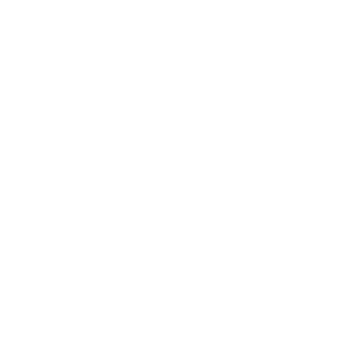 theBrainGames
